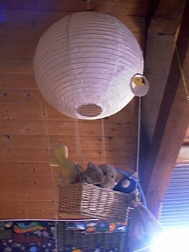 Lampe