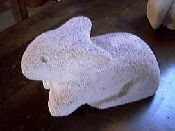 Hase