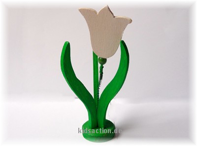Tulpe