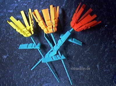 Klammertulpen