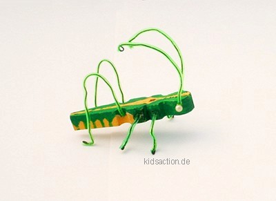 Klammerheuschrecke