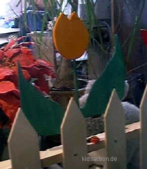 Holztulpen