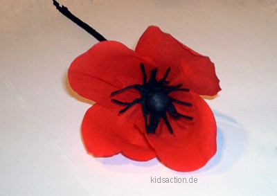 Mohnblumen